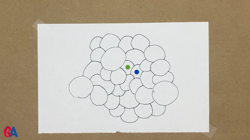 A green dot and a blue dot on circles